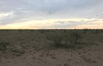 40 Acres in Pecos County, TX