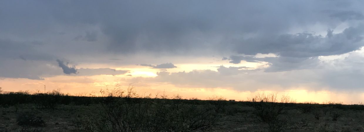 40 Acres in Pecos County, TX