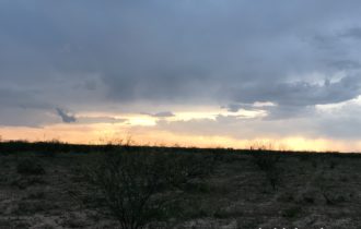 40 Acres in Pecos County, TX