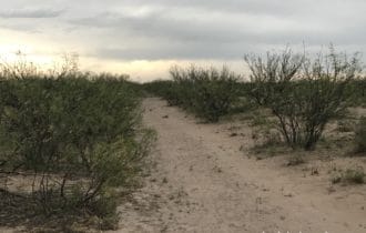 40 Acres in Pecos County, TX