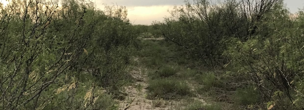 40 Acres in Pecos County, TX