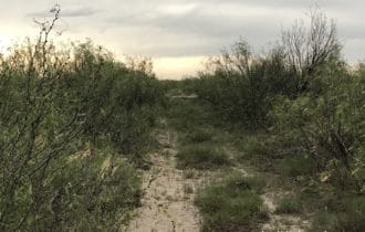 40 Acres in Pecos County, TX