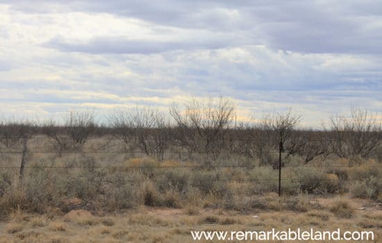 SOLD: 5.1 Acre Lot near Grandfalls, Texas