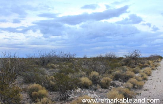 SOLD: 5.1 Acres in West Texas