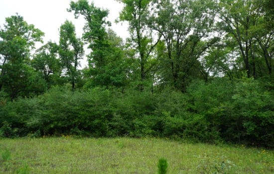 SOLD: Country Living on 10 Acres 1 Mile From Town