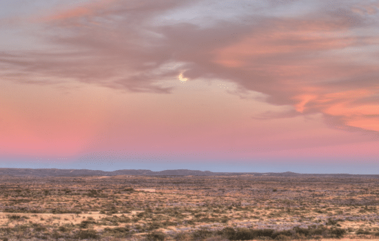 SOLD: 10-Acre Property in West Texas