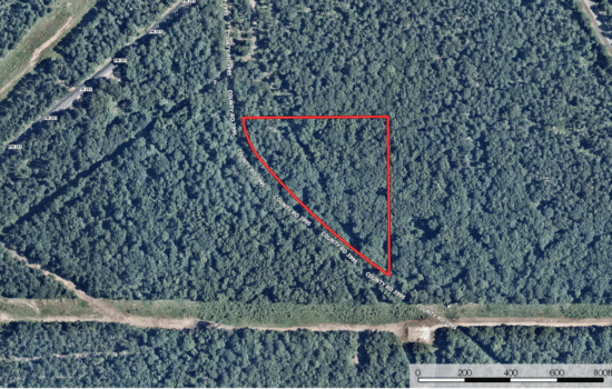 SOLD: A Piney Paradise for Your Dream House! 4.208 Acres in Northeast Texas