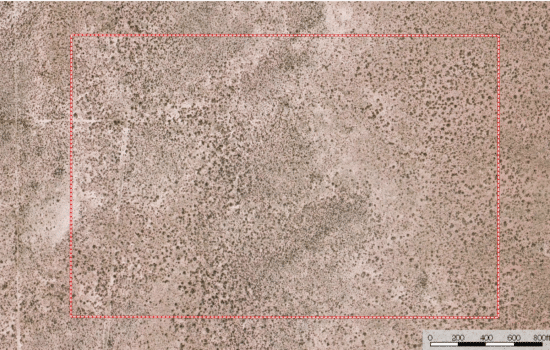 SOLD: 100 Acre Desert Property in Culberson County, TX
