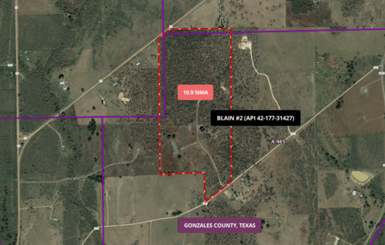 SOLD: 🛢️ 10.9 NMA in the Eagle Ford and Austin Chalk Trend of Texas 🛢️