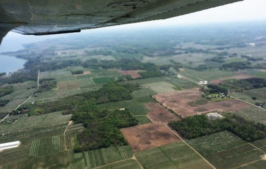 How Much Is 40 acres of Land Worth in Texas? 🤔