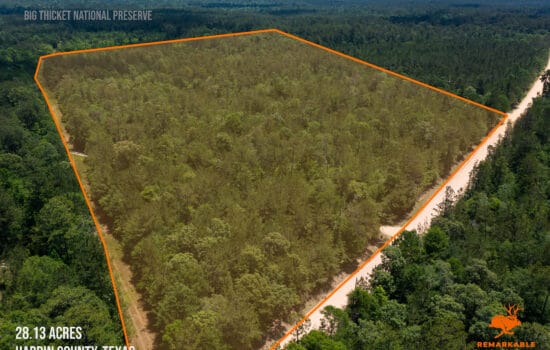 SOLD: 28.13 Acre Timber Property Near Kountze, TX