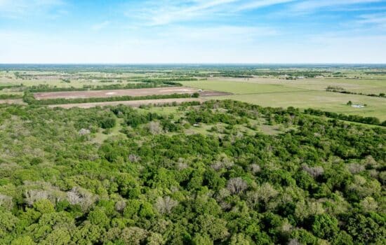 152 Acre Hunting Ranch Near DFW in Northern Hunt County, TX