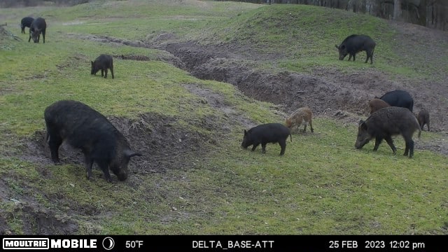 TX Hunt County Tank Game Camera TAimage638131950689195542