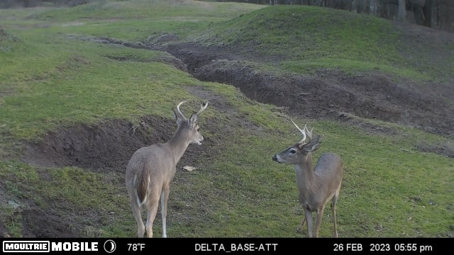 TX Hunt County Tank Game Camera TAimage638131953843789723