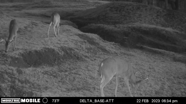 TX Hunt County Tank Game Camera TAimage638131958503028792