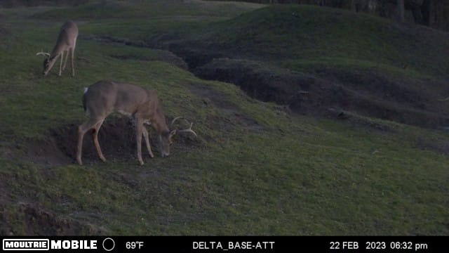 TX Hunt County Tank Game Camera TAimage638131958626447113