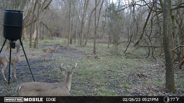 TX Hunt County Trail Game Camera TRimage638131948520674233