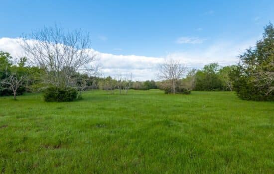 SOLD: End of the Road Privacy on 53.09 Acres in Hunt County, Texas