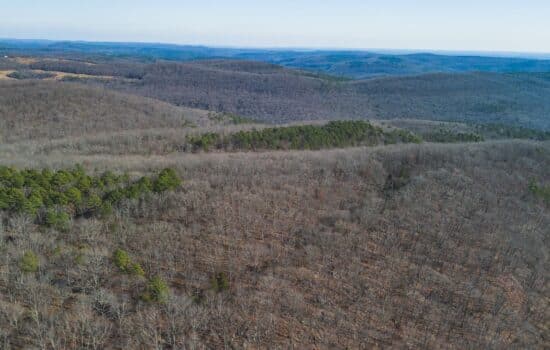 SOLD: 40 Acres on the Little Red River in Van Buren County, AR