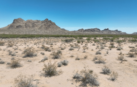 3.85 Acres of Open Arizona Land with Untapped Potential