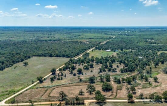 12.5 Acres in Wilson County – Peaceful, Unrestricted Texas Land (Tract 1)