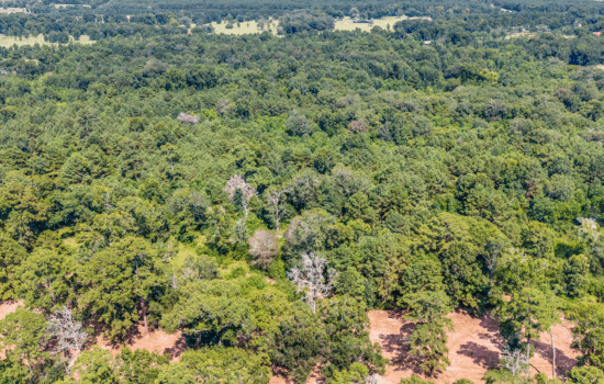 15 Acres – Unrestricted, Build-Ready Ranchette in Liberty County, TX