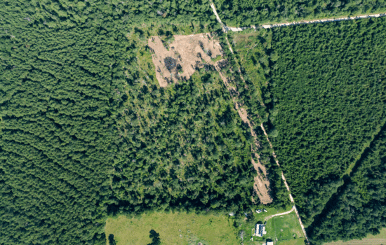 Unrestricted 15.8 Acres Surrounded by Texas Forest
