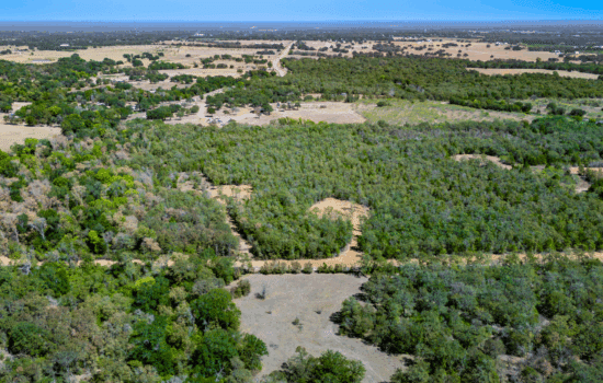 Unrestricted 11.85 Acres Near Lake Somerville in Burleson County, TX